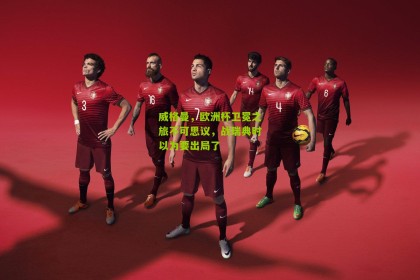 搜狐体育网_威格曼，欧洲杯卫冕之旅不可思议，战瑞典时以为要出局了