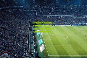 搜狐体育首页官网-体坛篮球秀深度剖析，NBA裁判公信力跌至冰点，罗斯交易与乔治伤病再掀联盟风波